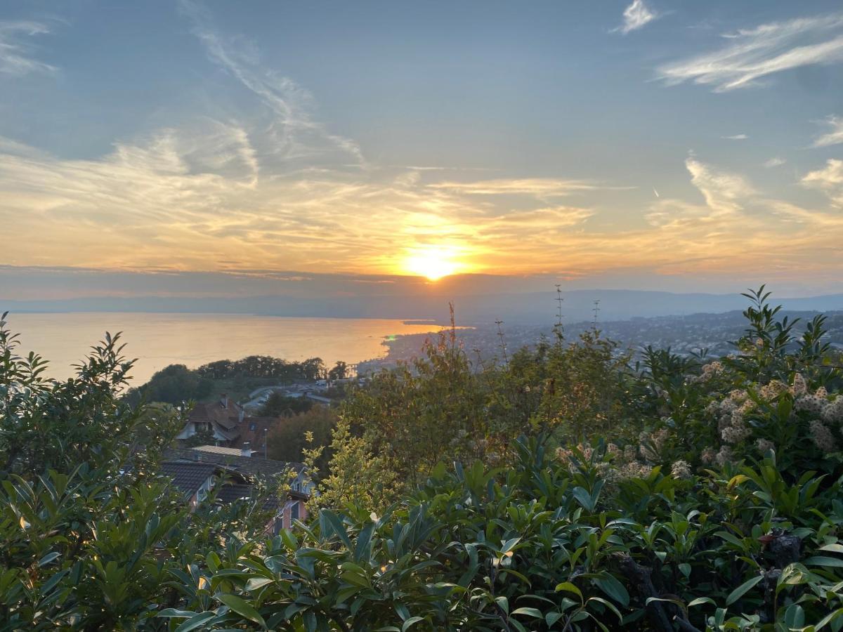 Lakeview Apartment-Lavaux Grandvaux Ngoại thất bức ảnh